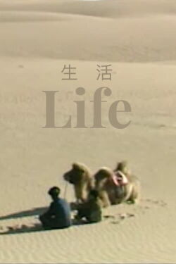 Life (1995)