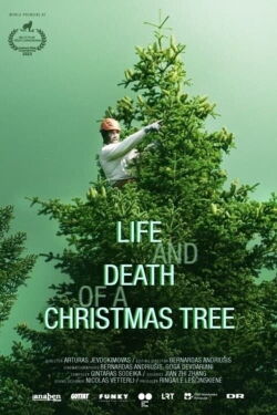 Life and Death of a Christmas Tree (2024)