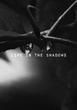 Life in the Shadows (2018)