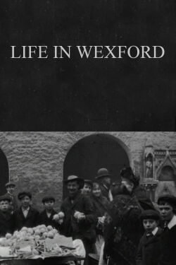 Life in Wexford (1902)