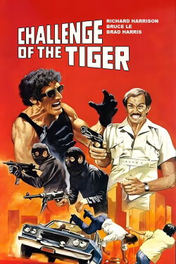 L'implacable défi (1980)