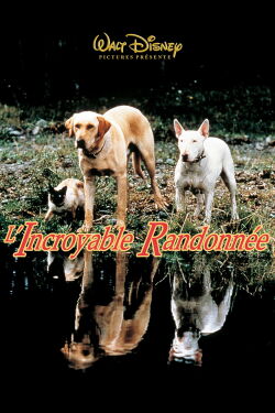 L'incroyable randonnée (1963)