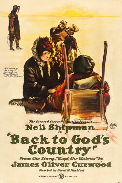 L'Instinct qui veille (1919)