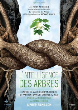 L'intelligence des Arbres (2017)