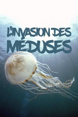 L'invasion des méduses – Une prolifération inquiétante (2017)
