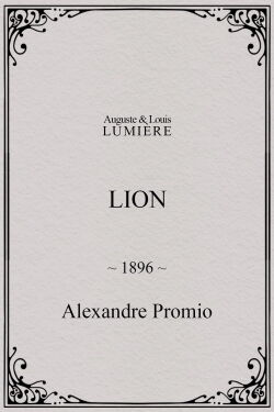Lion, London Zoological Gardens (1896)