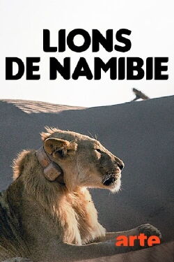 Lions de Namibie, un nouveau départ (2017)