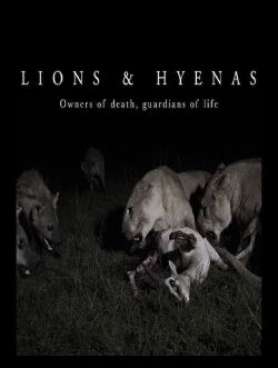 Lions et Hyènes : une lutte sans merci (2019)