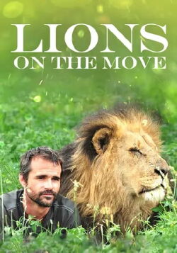 Lions on the Move (2013)