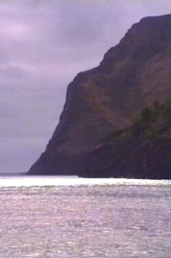 L'isola di Robinson Crusoe (1996)