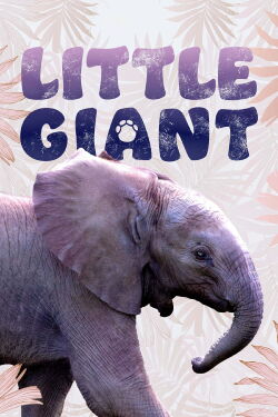 Little Giant (2016)