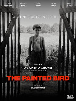 L'oiseau bariolé (2019)