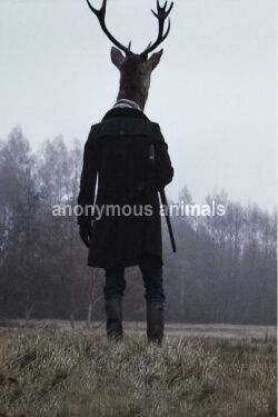 Los animales anónimos (Anonimous Animals) (2021)