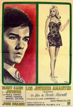Los jóvenes amantes (1971)