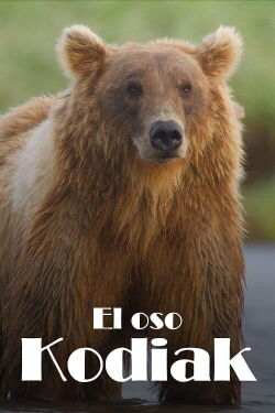 Los osos gigantes de Alaska (2023)