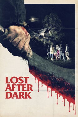 Lost after dark (2014)