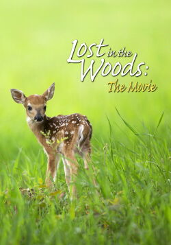 Lost in the Woods: The Movie (2006)
