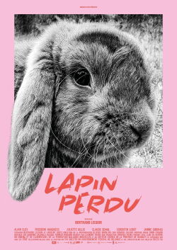Lost Rabbit (2019)