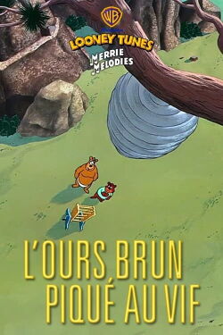 L'Ours brun piqué au vif (1949)