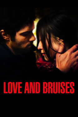 Love and Bruises (2011)