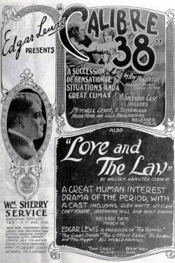 Love and the Law (1919)