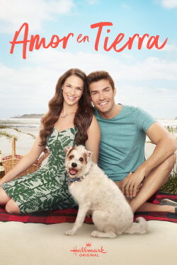 Love at the Shore (2017)