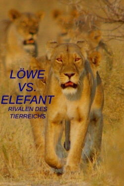 Löwe vs. Elefant: Rivalen des Tierreichs (2003)