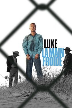 Luke la main froide (1967)