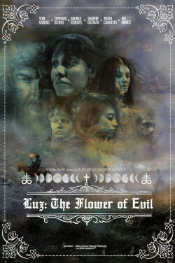 Luz: The Flower of Evil (2019)