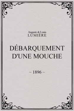 Lyon: Débarquement d'une mouche (1896)