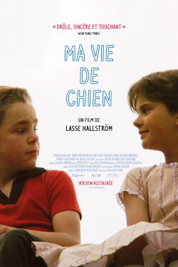 Ma vie de chien (1985)