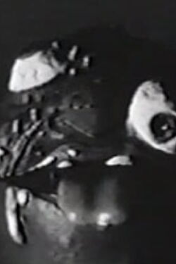 Madball (1988)