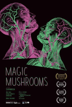 Magic Mushrooms (2017)