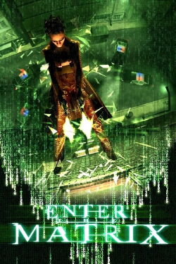 Making 'Enter the Matrix' (2003)