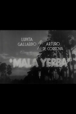 Mala yerba (1940)