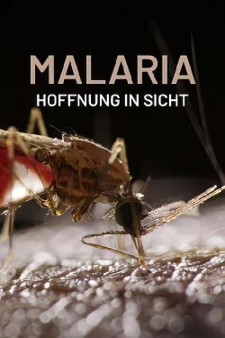 Malaria, Hoffnung in Sicht (2024)