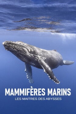 Mammifères marins, les maîtres des abysses (2018)
