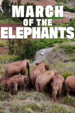 March of the Elephants (2022)