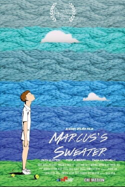 Marcus's Sweater (2016)
