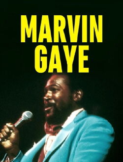 Marvin Gaye – Greatest Hits (1976)