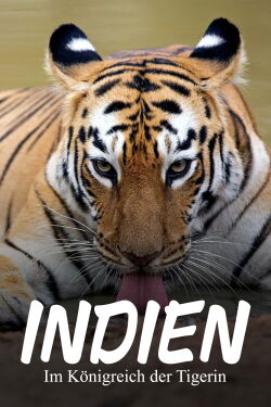 Maya, la tigresse du Maharashtra (2020)