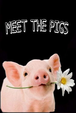 Meet the Pigs (2021)