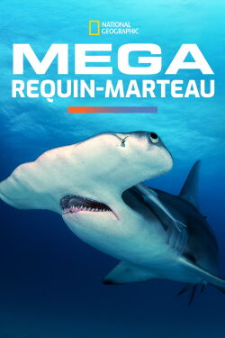 Méga requin-marteau (2016)