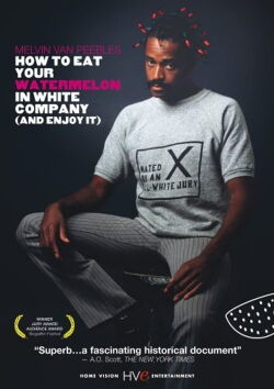 Melvin Van Peebles : l'histoire de la Blacksploitation (2005)