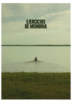 Memory Exercises (2016)