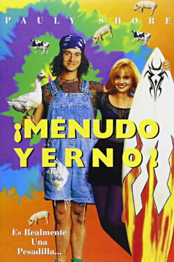 ¡Menudo yerno! (1993)