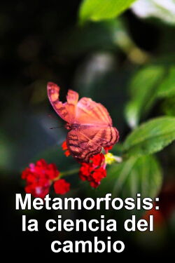 Metamorfosis: La ciencia del cambio (2013)