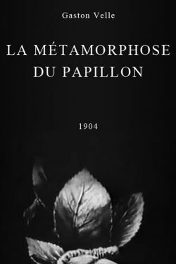 Metamorphosis of a Butterfly (1904)