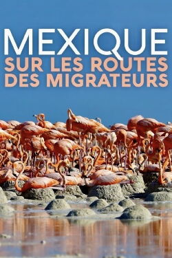 Mexique, sur les routes des migrateurs (2019)