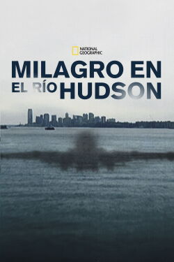 Milagro en el río Hudson (2014)